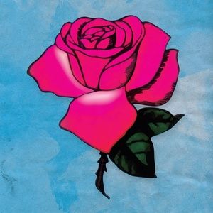 Meet your Posher, Mayra